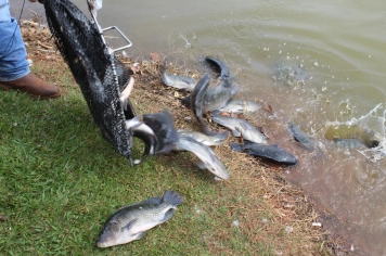 Foto - Solta peixes - Torneio Pesca 2026