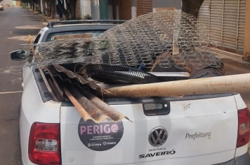 Foto - Combate a Dengue nov 25