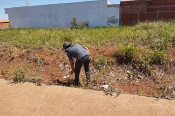 Foto relacionada - Controle de Vetores e Zeladoria seguem em batalha diária contra o implacável Aedes aegypti