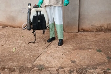 Foto - Combate a Dengue nov 25