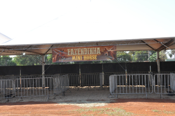 Foto - 11ª FAIG 