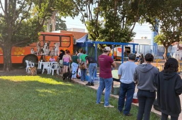 Prefeitura de Guaíra realiza Mutirão de Castração e atende 190 animais nesta terça-feira (28)