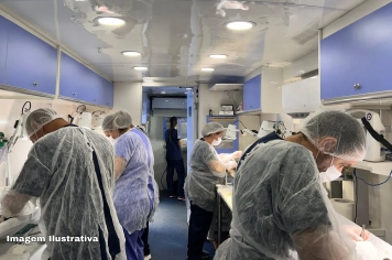 Mutirão de castração em Guaíra acontece dia 28; saiba como se cadastrar para próximas vagas