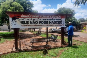Cuidado com a Dengue no Dia de Finados