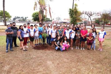 Prefeitura celebra Dia da Árvore na escola Vicencina