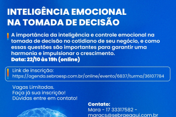 Curso gratuito e online: inteligência emocional na tomada de decisão em Guaíra