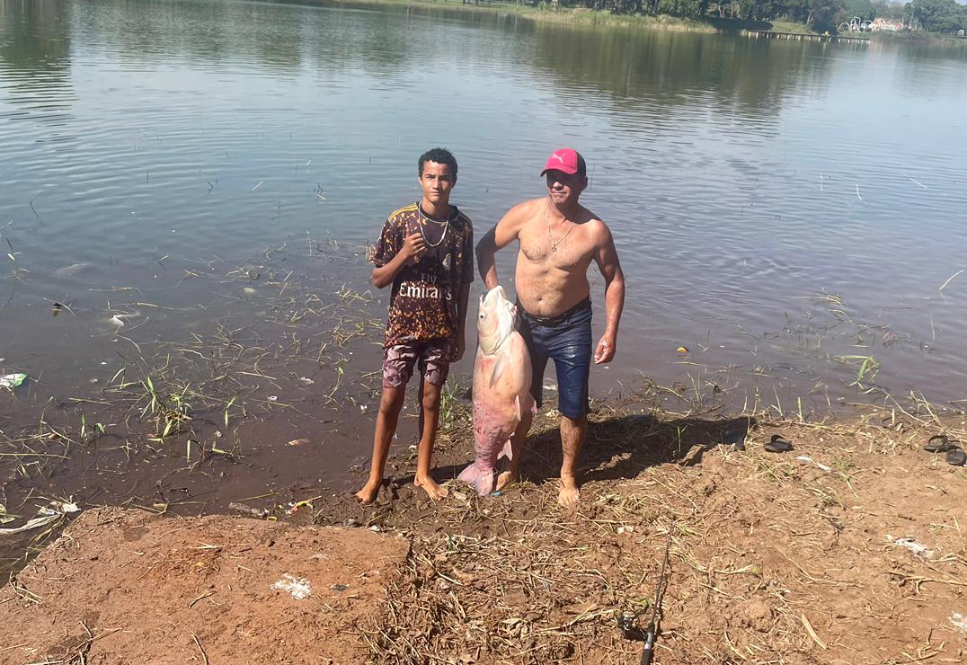 Pescador captura 'Carpa Monstro' de 29 kg no Lago Maracá