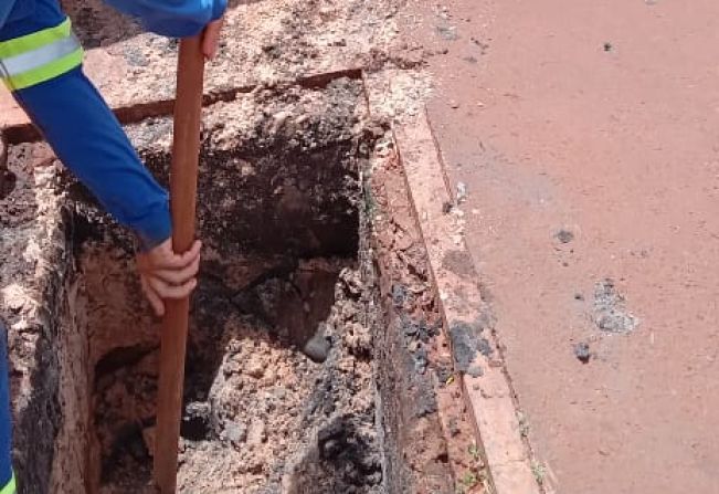 Guaíra Registra Primeiro Óbito por Dengue 