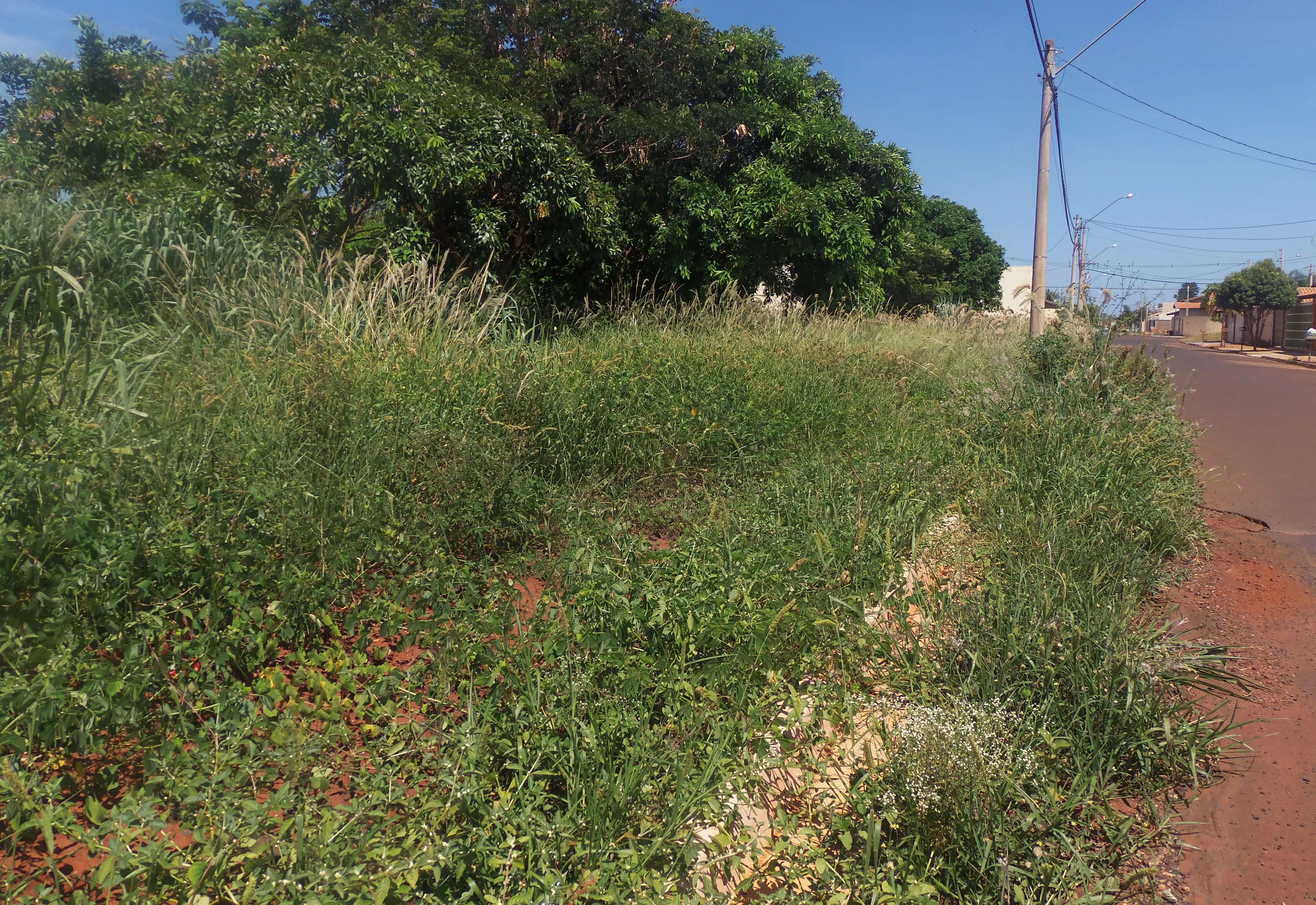 Prefeitura notifica proprietários para limpeza urgente de terrenos