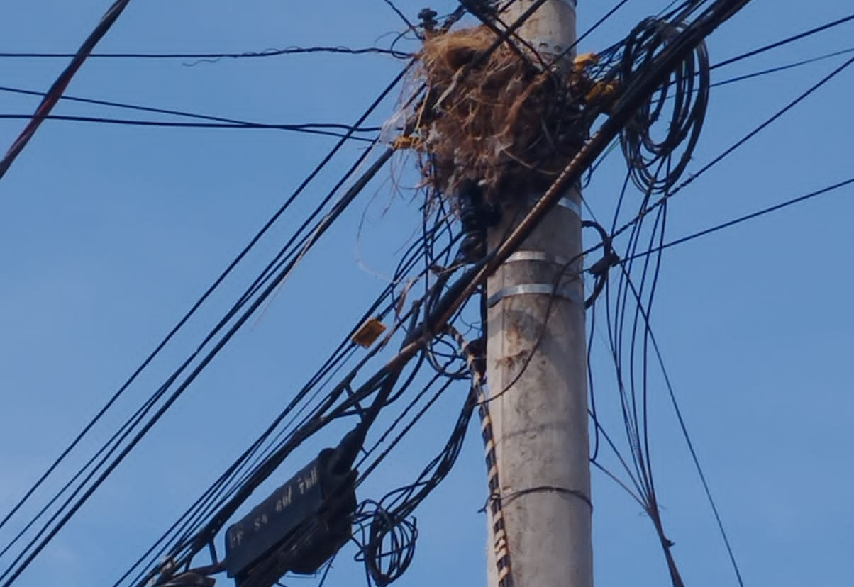 Guaíra mantém fiscalização de fios de telefonia e internet para evitar poluição visual e acidentes 