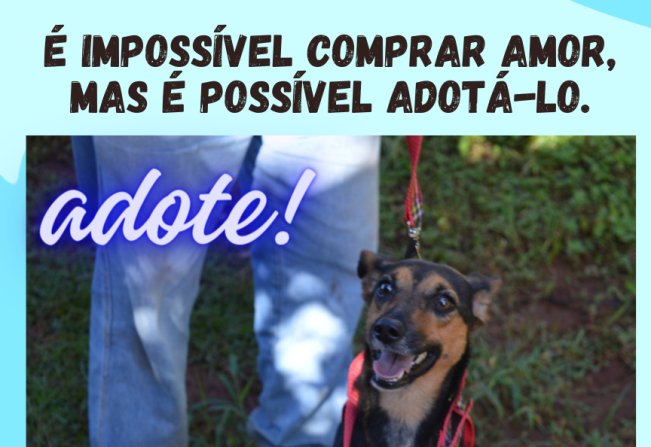 Adote um pet - ganhe um melhor amigo!