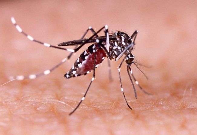 Seguindo o exemplo do Estado e da União, a Prefeitura decreta emergência contra a dengue