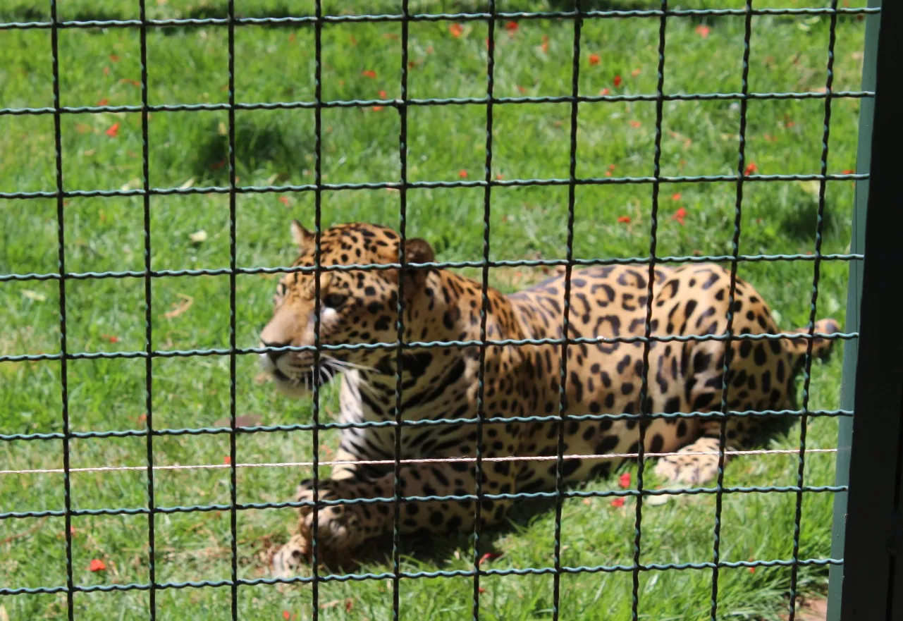 Zoológico de Guaíra reabre após reparos