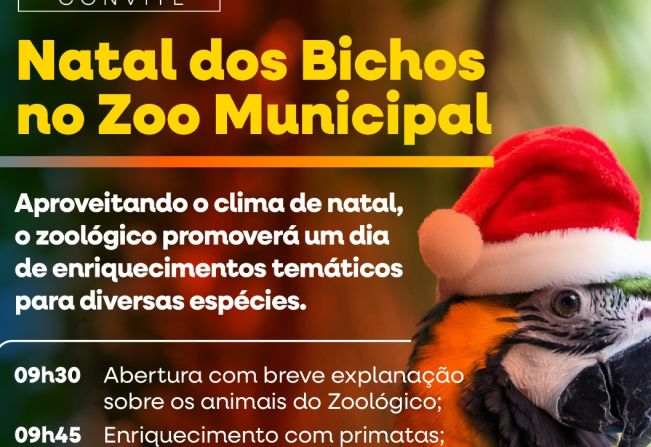 Bichos do Zoo Comemoram o Natal