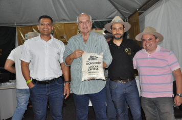 Foto - 11ª FAIG