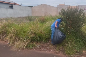 Foto relacionada - Controle de Vetores e Zeladoria seguem em batalha diária contra o implacável Aedes aegypti