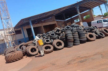 Foto - Combate a Dengue nov 25