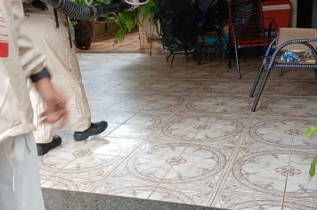 Foto relacionada - Controle de Vetores e Zeladoria seguem em batalha diária contra o implacável Aedes aegypti