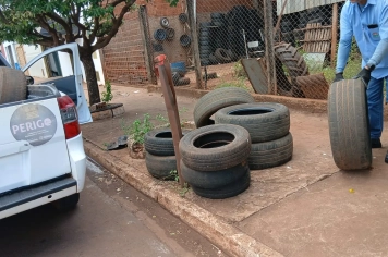 Foto - Combate a Dengue nov 25