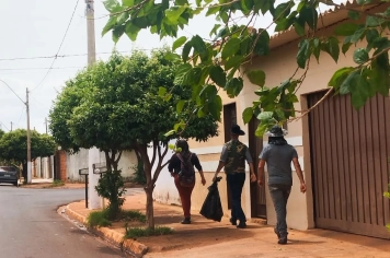 Foto - Combate a Dengue nov 25