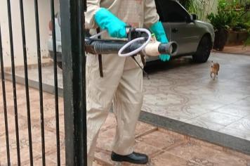 Foto - Combate a Dengue nov 25